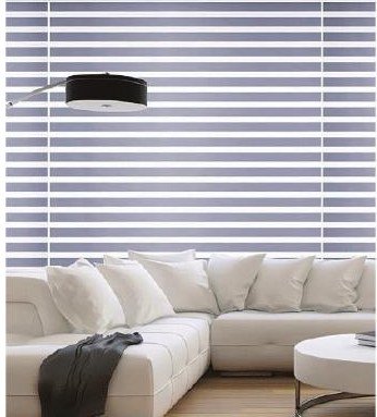 Zebra Double and Triple Shade Blinds