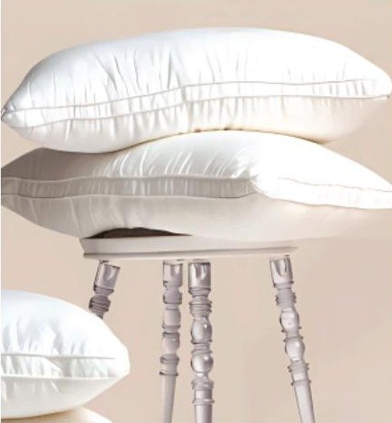Soyabean Pillow